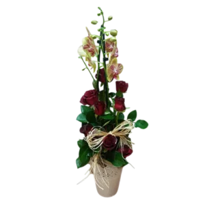 Orchid qith roses